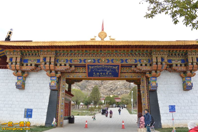 DSC_8621 [800x600].jpg