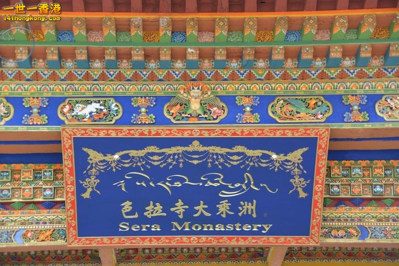 DSC_8622 [800x600] [800x600].jpg