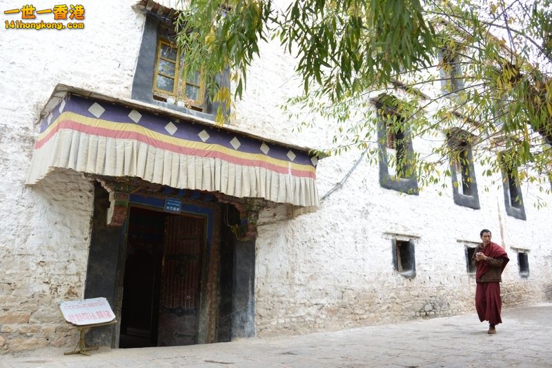 DSC_8626 [800x600] [800x600].jpg