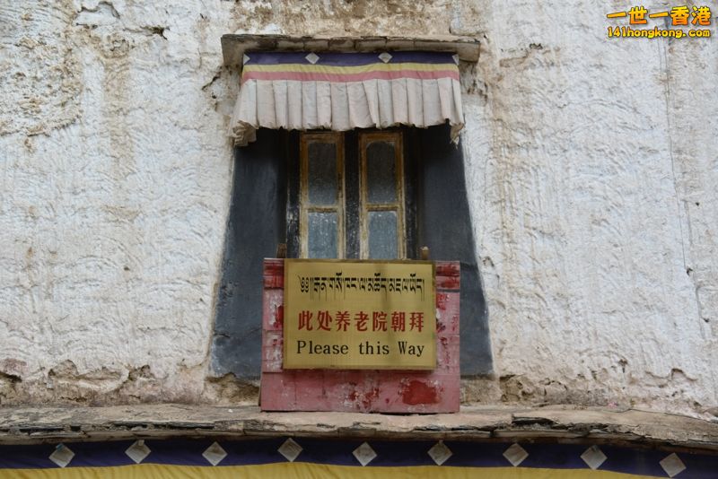 DSC_8628 [800x600].jpg