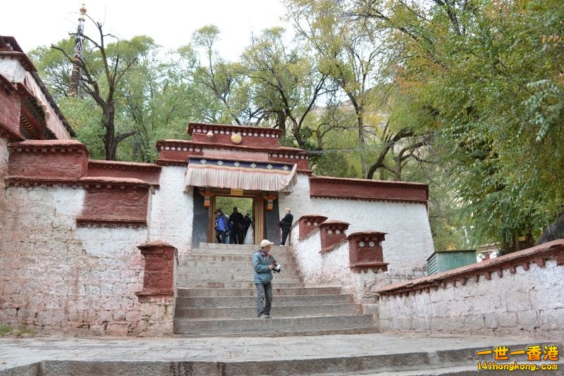 DSC_8631 [800x600] [800x600].jpg