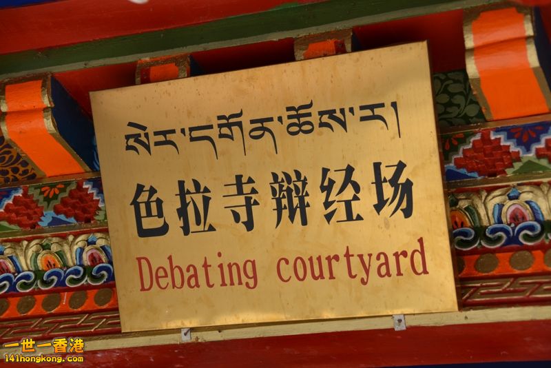 DSC_8631a [800x600].jpg