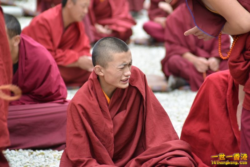 DSC_8636 [800x600].jpg