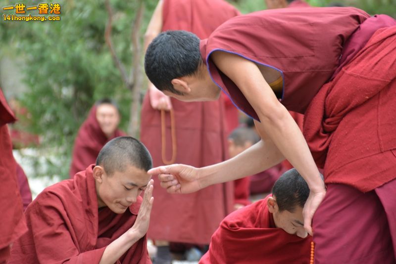 DSC_8638 [800x600].jpg