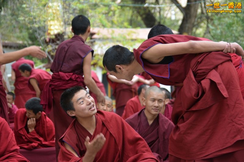 DSC_8639 [800x600].jpg