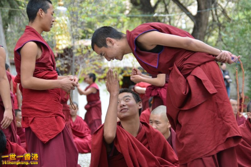 DSC_8640 [800x600].jpg