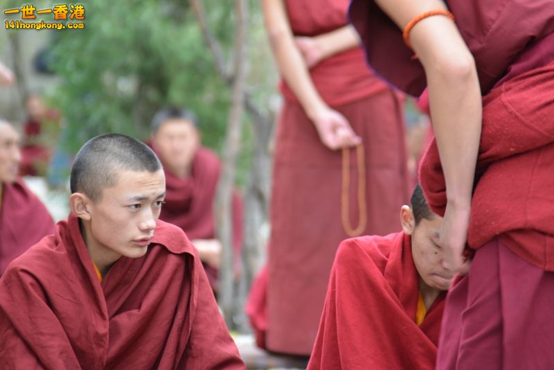 DSC_8641 [800x600].jpg