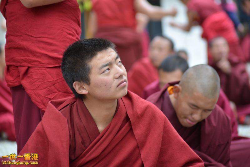 DSC_8644 [800x600].jpg