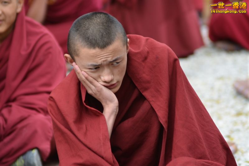 DSC_8651 [800x600].jpg