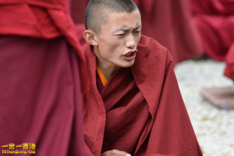 DSC_8652 [800x600].jpg