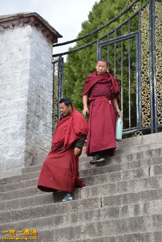 DSC_8656 [800x600].jpg