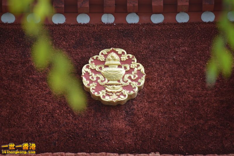 DSC_8658 [800x600].jpg