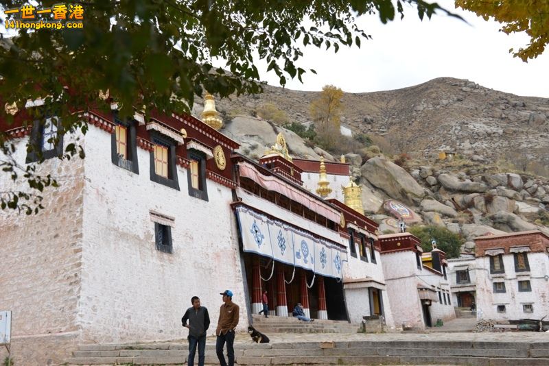 DSC_8663a [800x600] [800x600].jpg