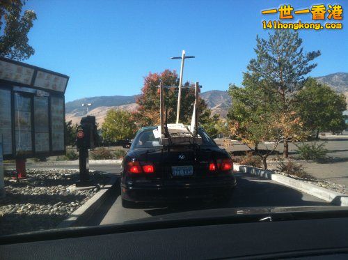 shit-on-cars-10.jpg