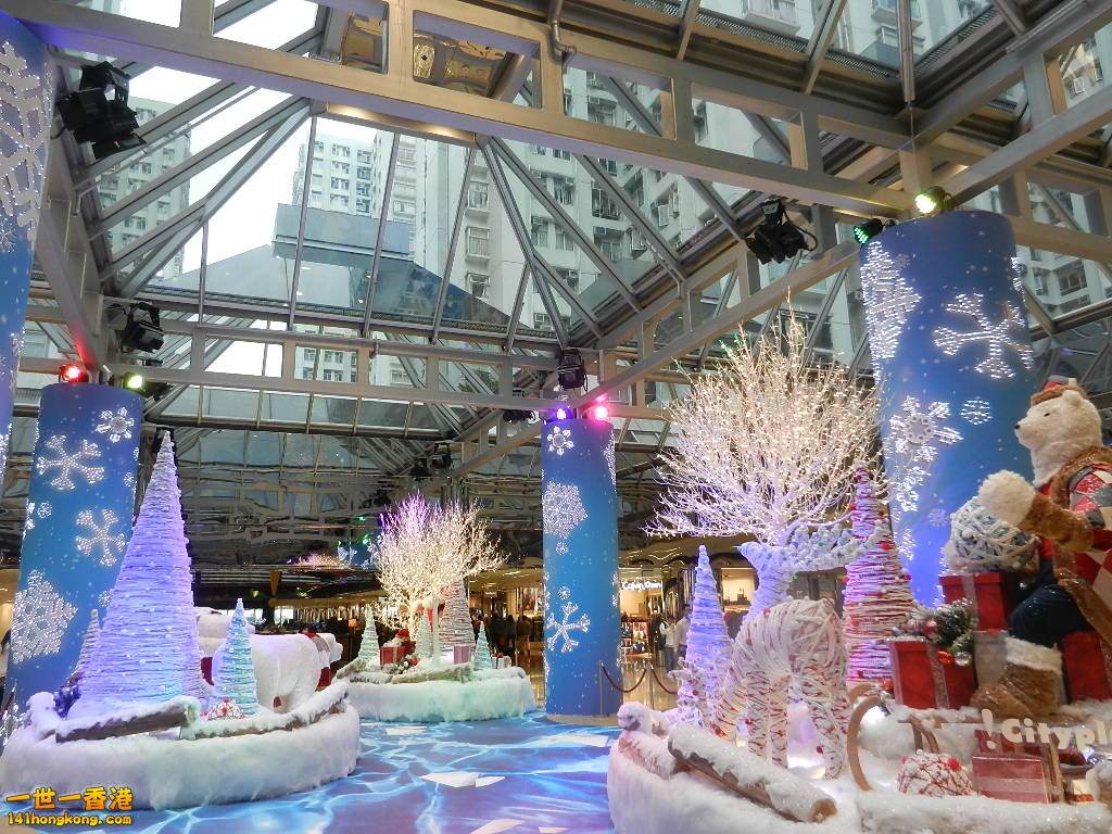 DSCN4801.JPG