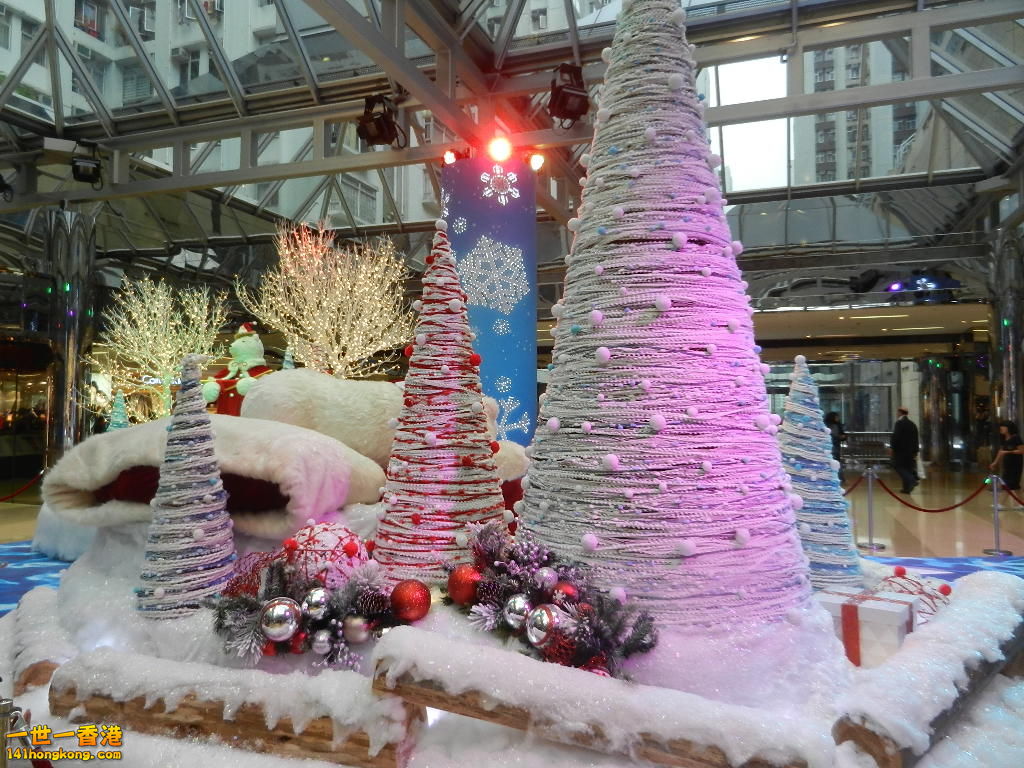 DSCN4766.JPG