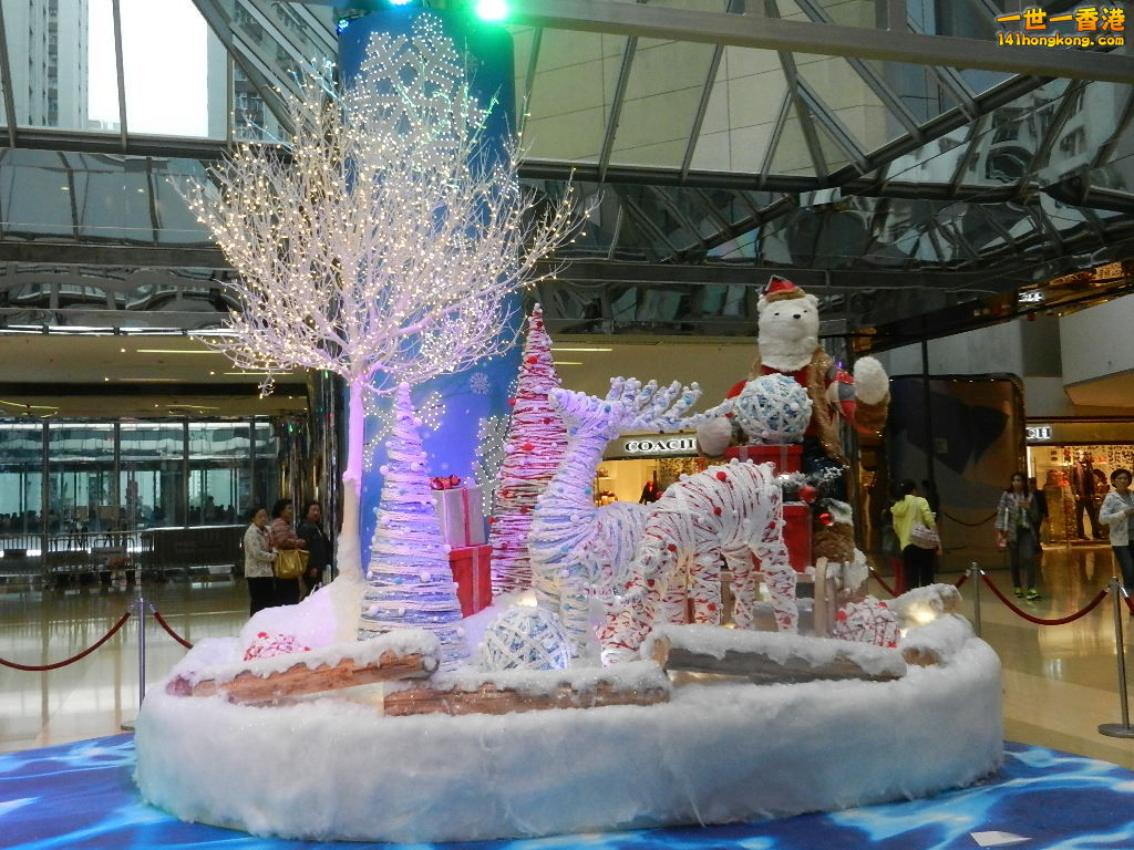 DSCN4767.JPG