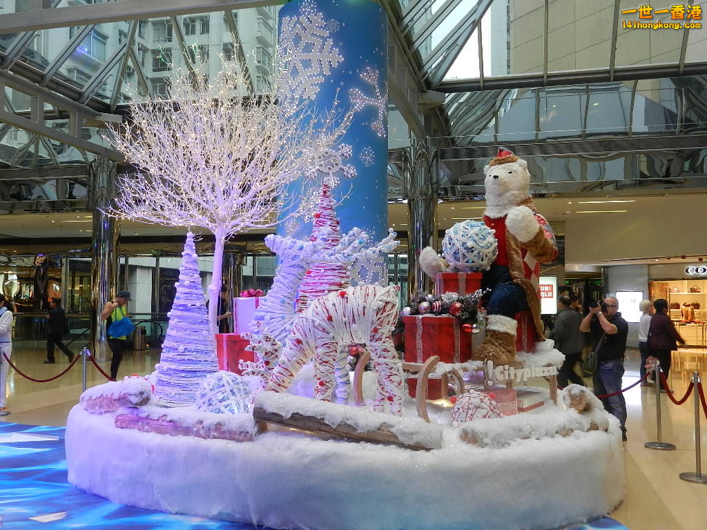 DSCN4768.JPG