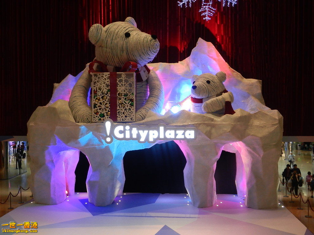 DSCN4785.JPG