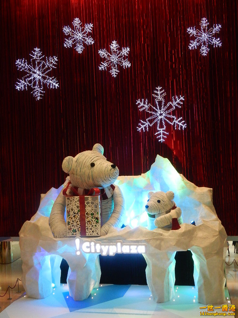 DSCN4797.JPG