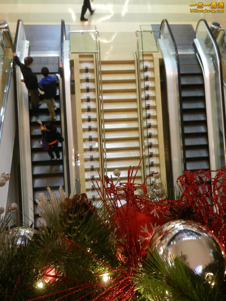DSCN4753.JPG