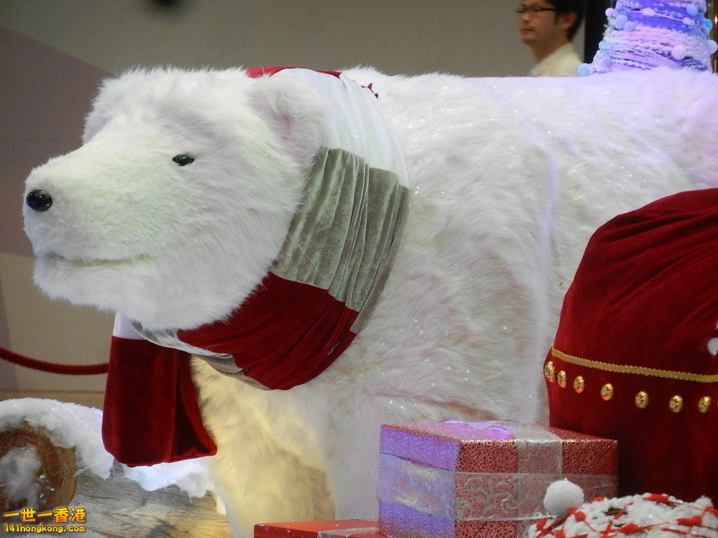 DSCN4805.JPG