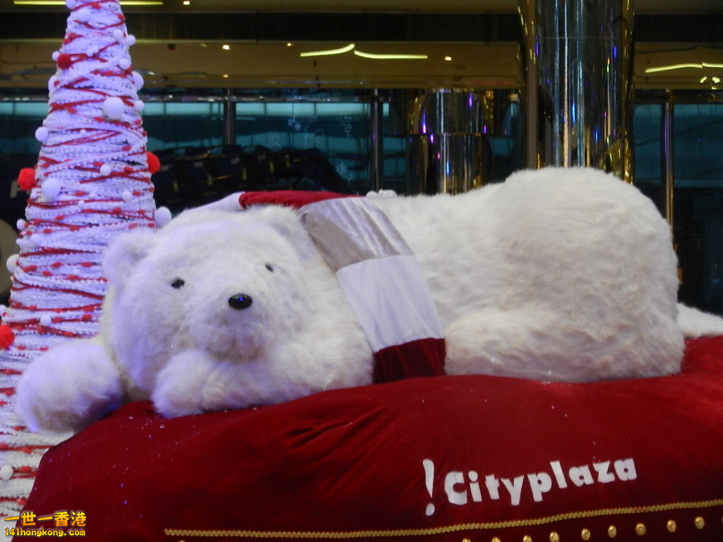 DSCN4808.JPG