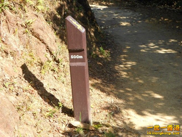 010.jpg