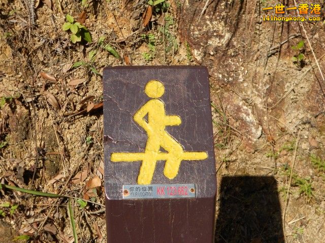 011.jpg