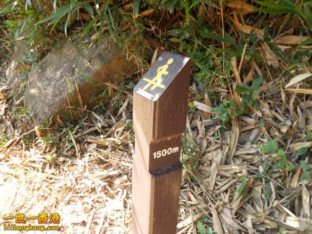 015.jpg