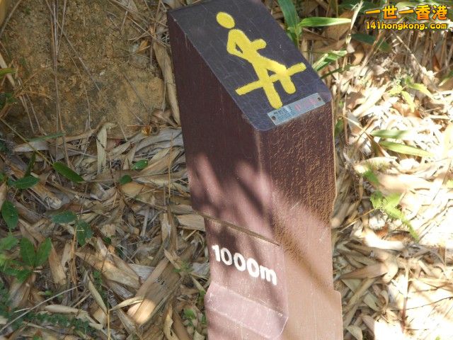 016.jpg