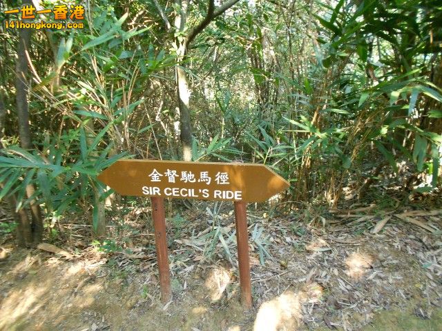 025.jpg