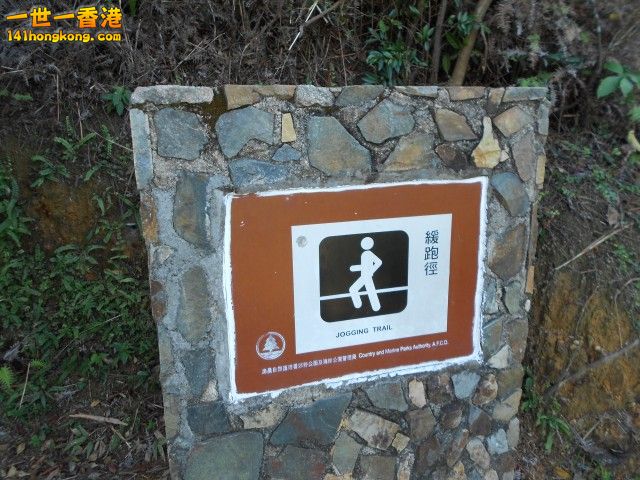 046.jpg