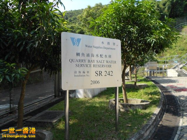 042.jpg