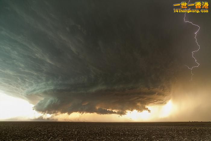 Texas , United States.jpg