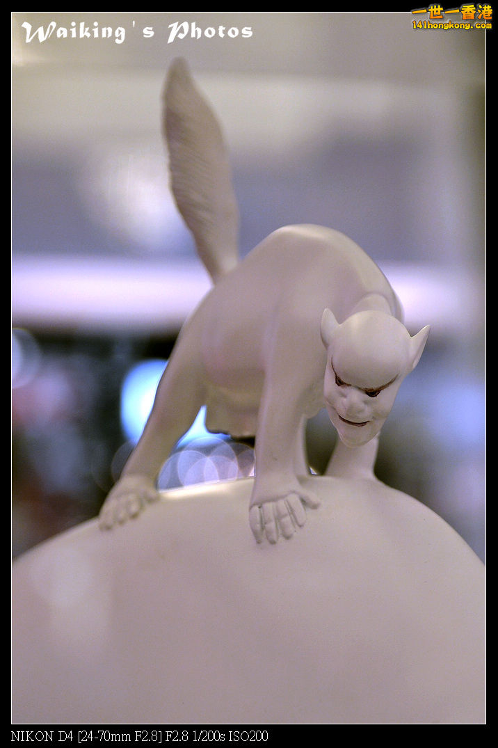 DSC_7009.jpg