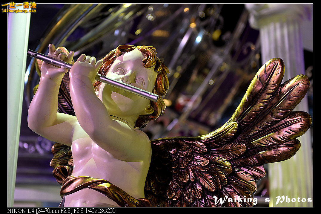 DSC_7072.jpg