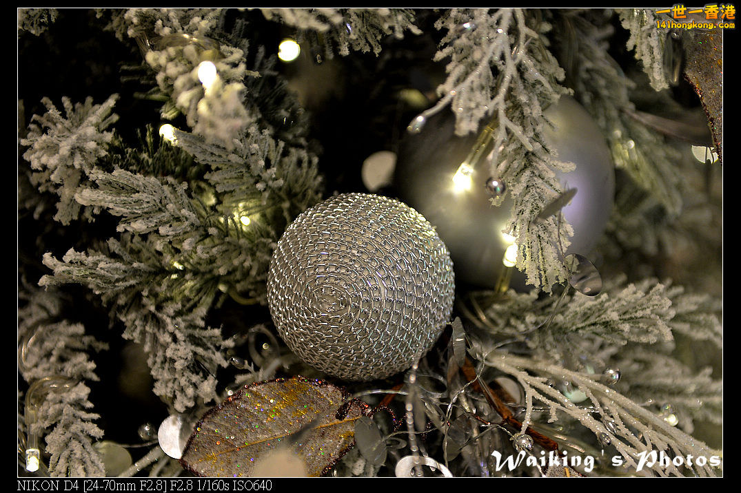 DSC_7111.jpg