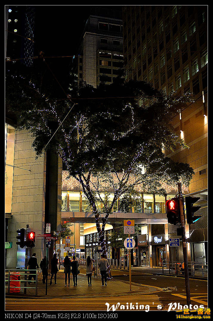 DSC_7119.jpg