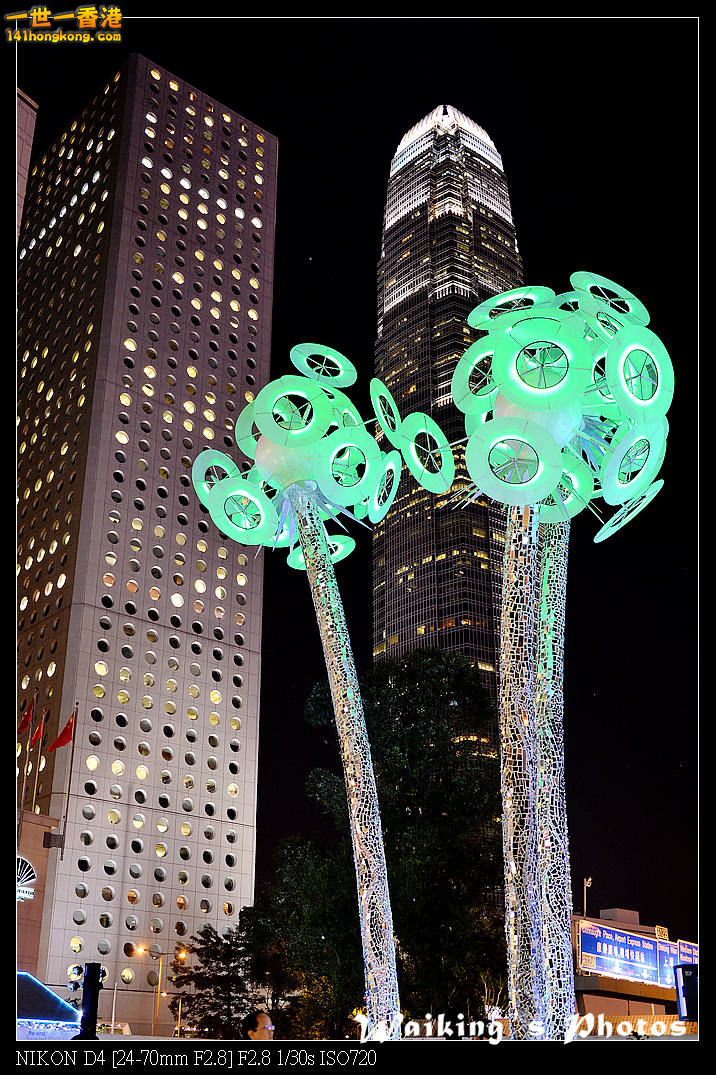 DSC_7129.jpg
