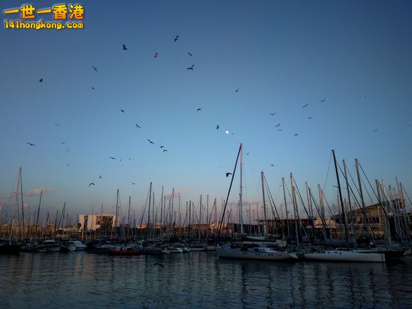 131129_ipadgalaxysam_02.jpg