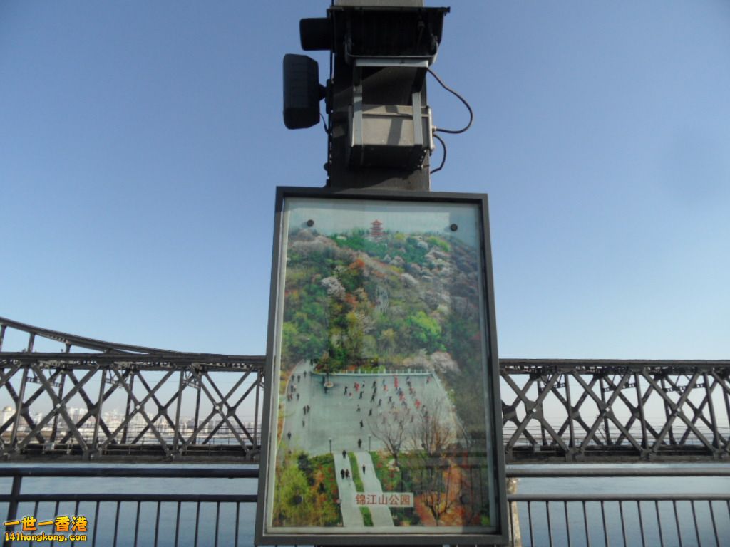 SAM_0221.JPG