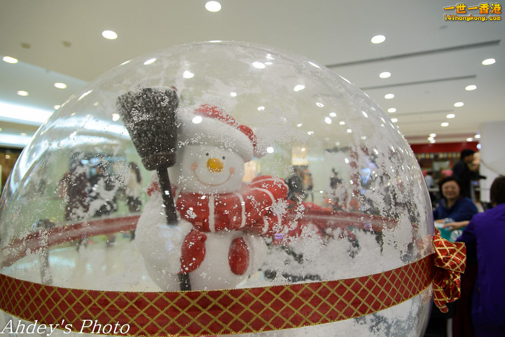 DSC_4365.jpg