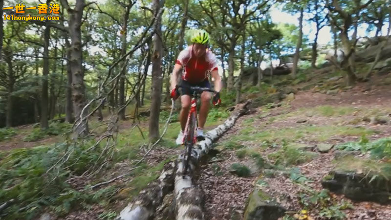 Screen Shot 2013-12-11 at 4.42.40 PM copy.jpg