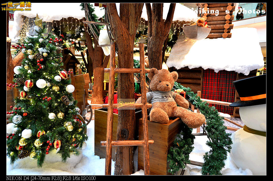 DSC_8719.jpg