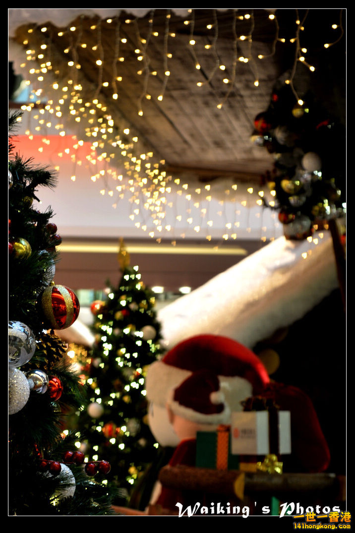 DSC_8774.jpg