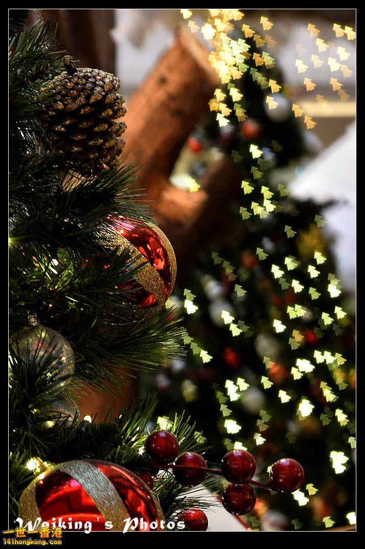 DSC_8784.jpg