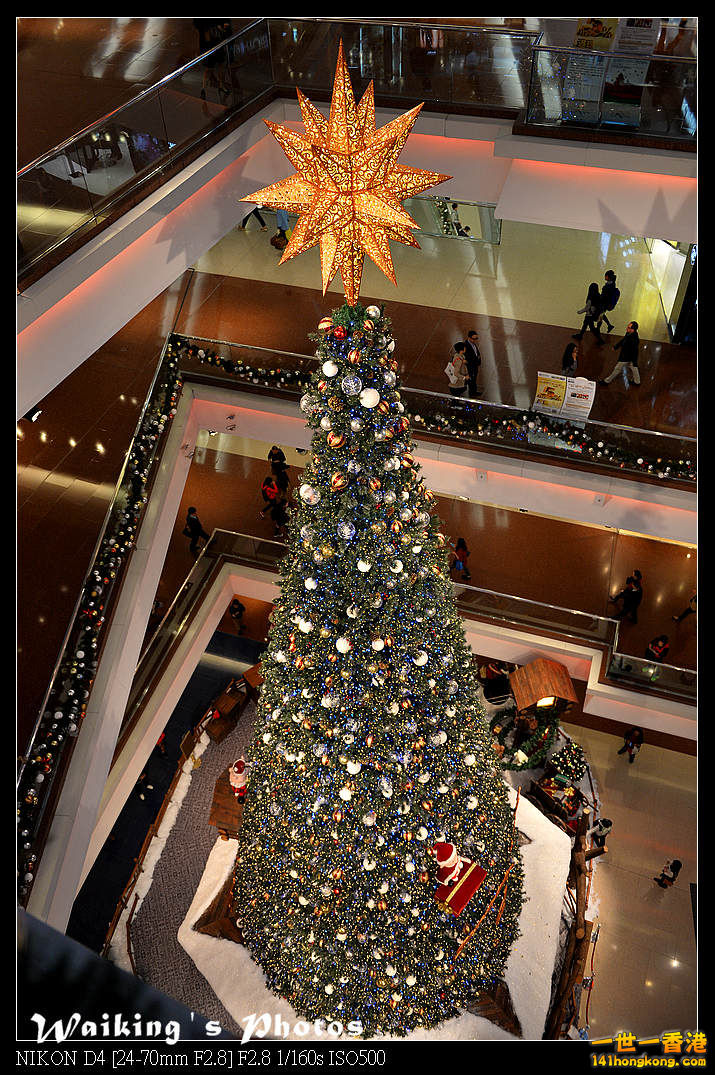 DSC_8810.jpg