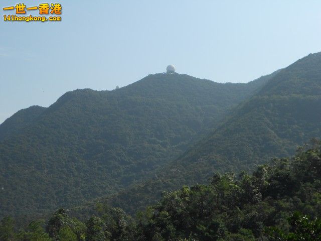 f.jpg
