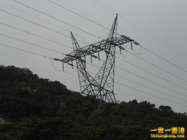 008.jpg